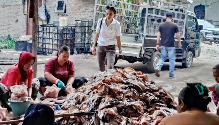 Pakan Ternak Olahan Kerangka Ikan, Inovasi Zaini Bangkitkan Ekonomi Lokal