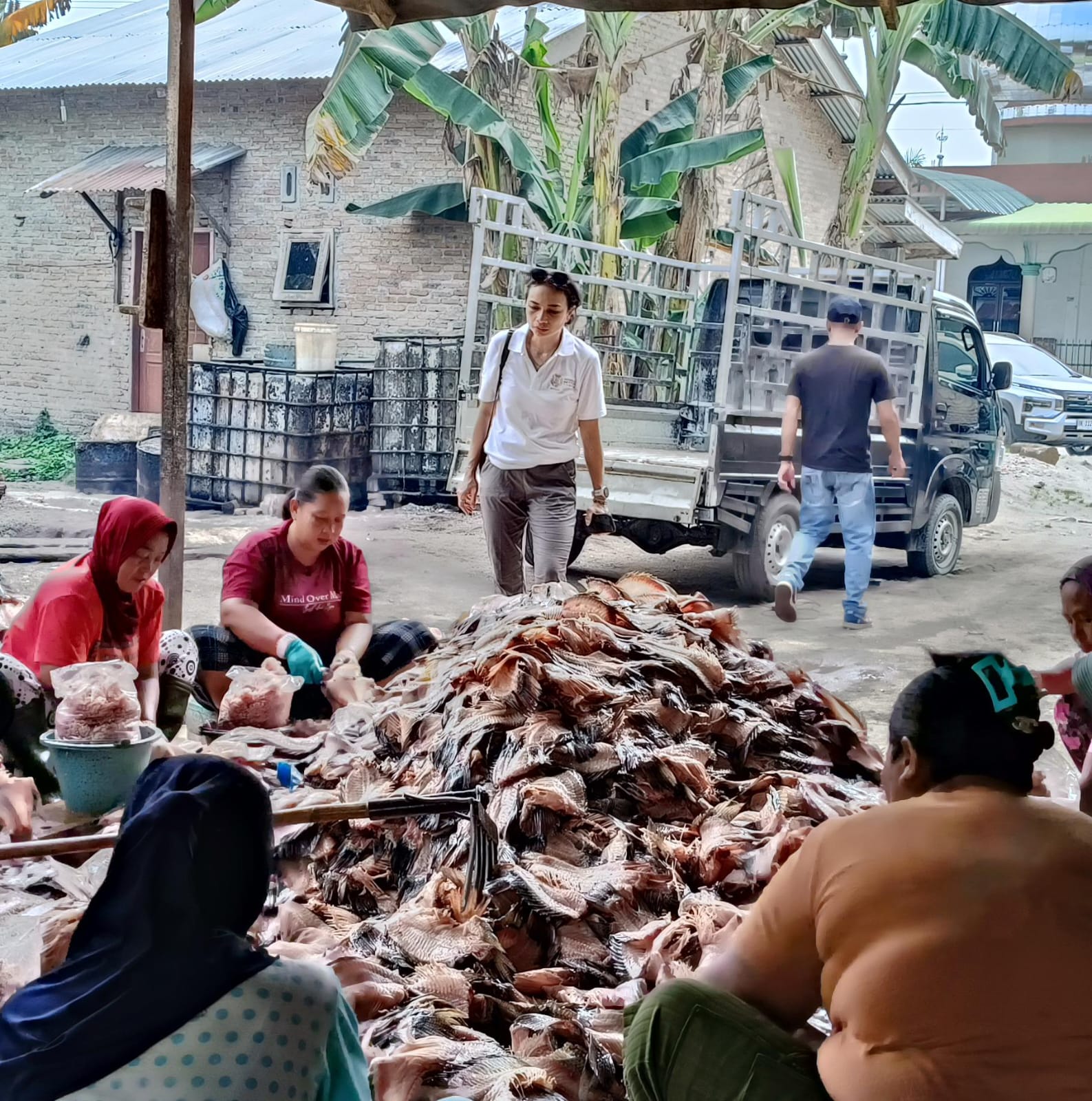 Pakan Ternak Olahan Kerangka Ikan, Inovasi Zaini Bangkitkan Ekonomi Lokal