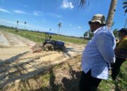 Produksi Gabah Sergai Meningkat Pesat, Menjadi Bukti Suksesnya Program Oplah