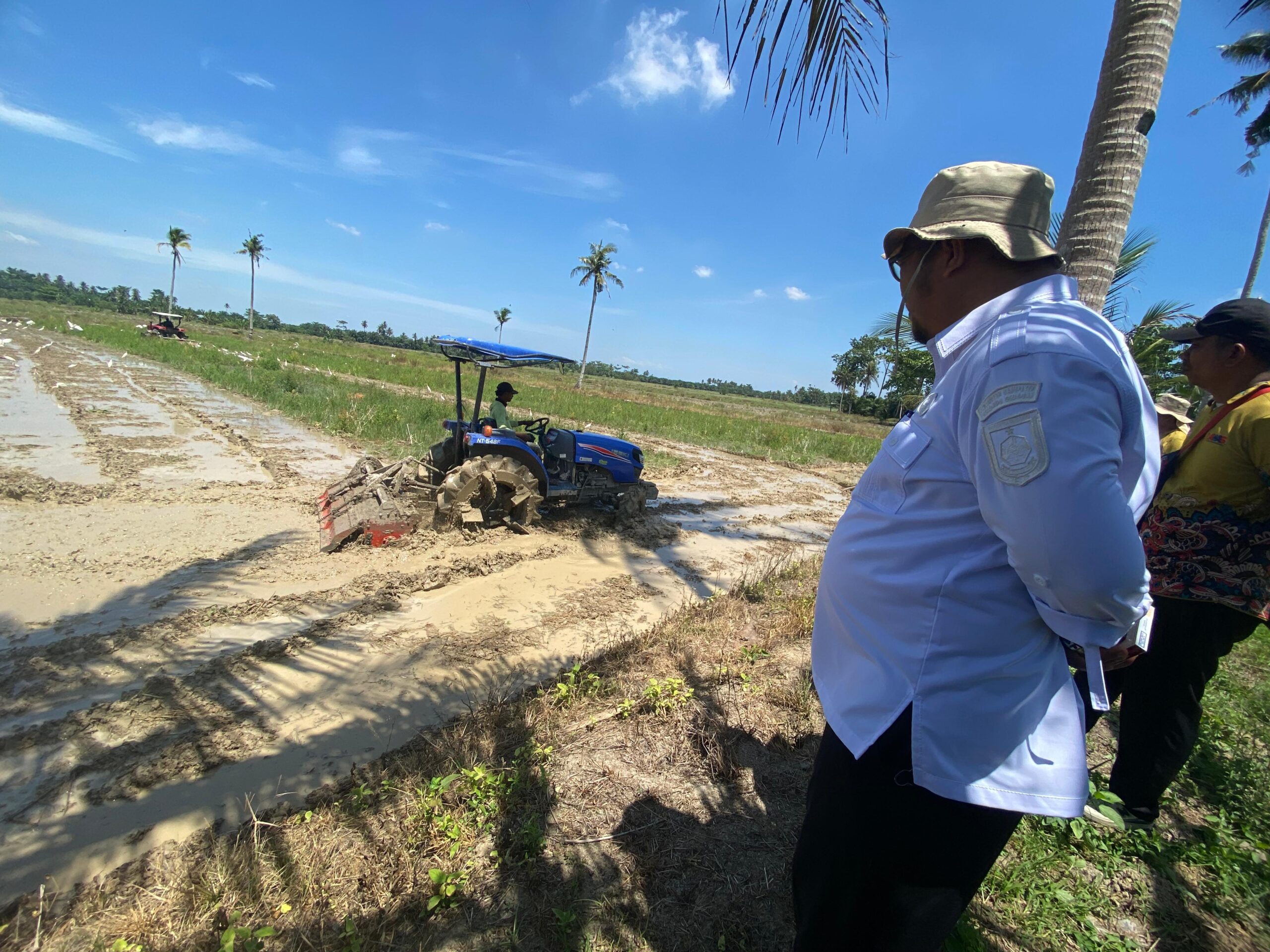 Produksi Gabah Sergai Meningkat Pesat, Menjadi Bukti Suksesnya Program Oplah