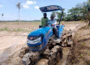 Kadis Pertanian Sergai Catat Surplus Beras, Jadi Lumbung Pangan Sumut
