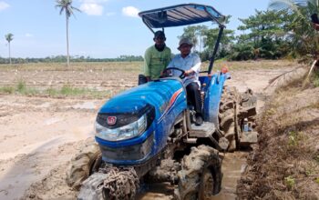 Kadis Pertanian Sergai Catat Surplus Beras, Jadi Lumbung Pangan Sumut