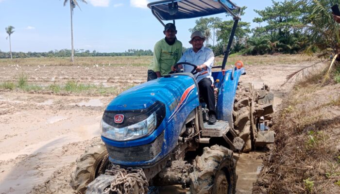 Kadis Pertanian Sergai Catat Surplus Beras, Jadi Lumbung Pangan Sumut