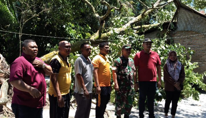 Puting Beliung Porak-porandakan 109 Rumah di Teluk Mengkudu, Camat Turun Tangan