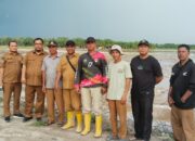 Sergai Jadi Daerah Pertama di Sumut Surplus Beras