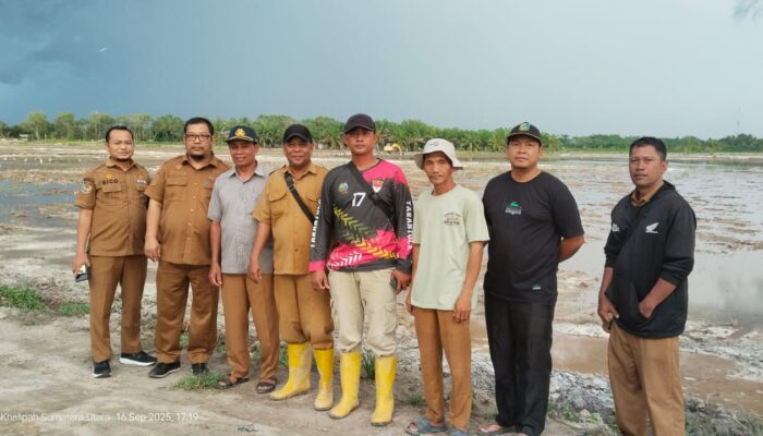 Sergai Jadi Daerah Pertama di Sumut Surplus Beras