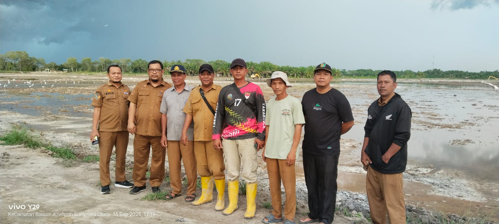 Sergai Jadi Daerah Pertama di Sumut Surplus Beras