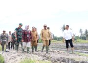 Kolaborasi Forkopimda dan Petani, Sergai Jadi Lumbung Pangan Sumut