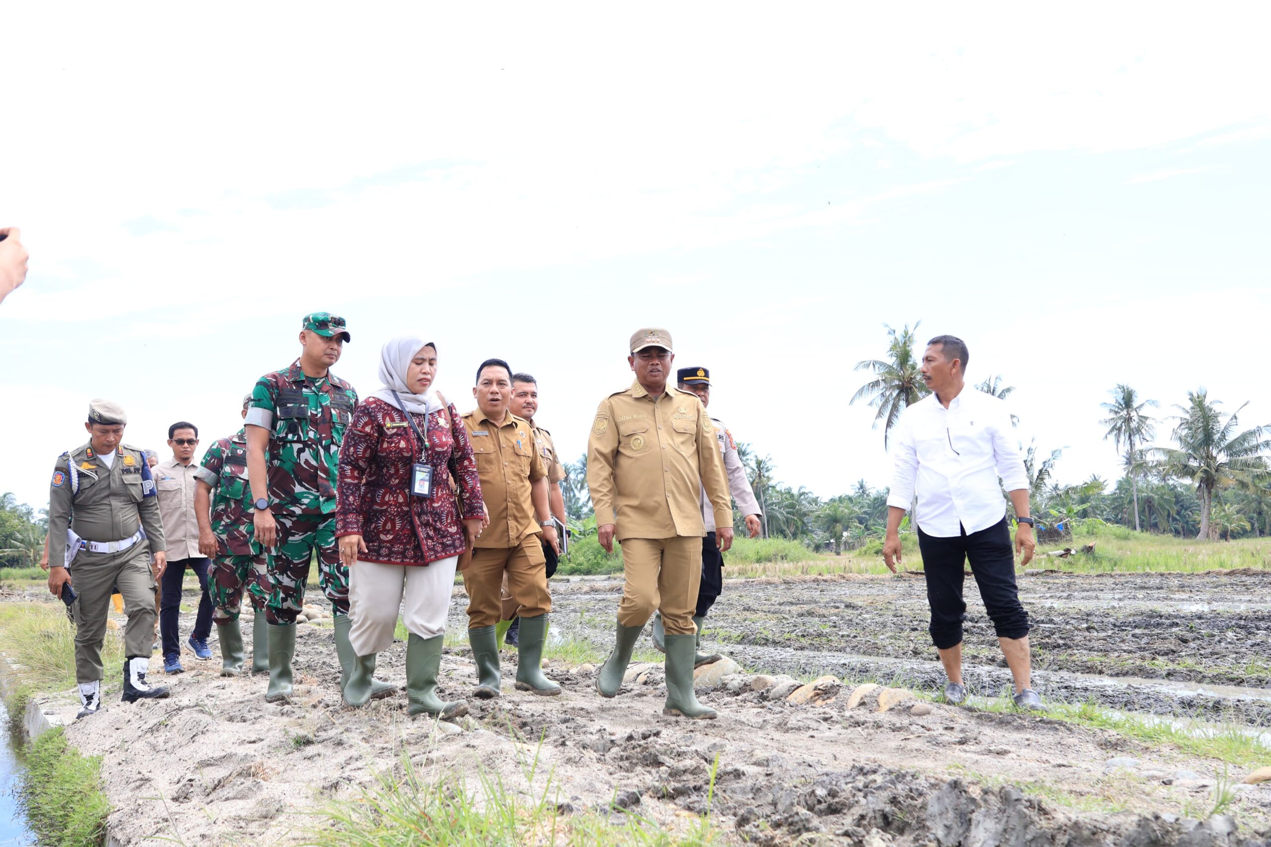 Kolaborasi Forkopimda dan Petani, Sergai Jadi Lumbung Pangan Sumut