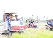 Pemkab Serdang Bedagai Optimalisasi Lahan Rawa Lewat Gerakan Olah Lahan untuk Terus Tingkatkan Produksi