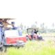 Pemkab Serdang Bedagai Optimalisasi Lahan Rawa Lewat Gerakan Olah Lahan untuk Terus Tingkatkan Produksi