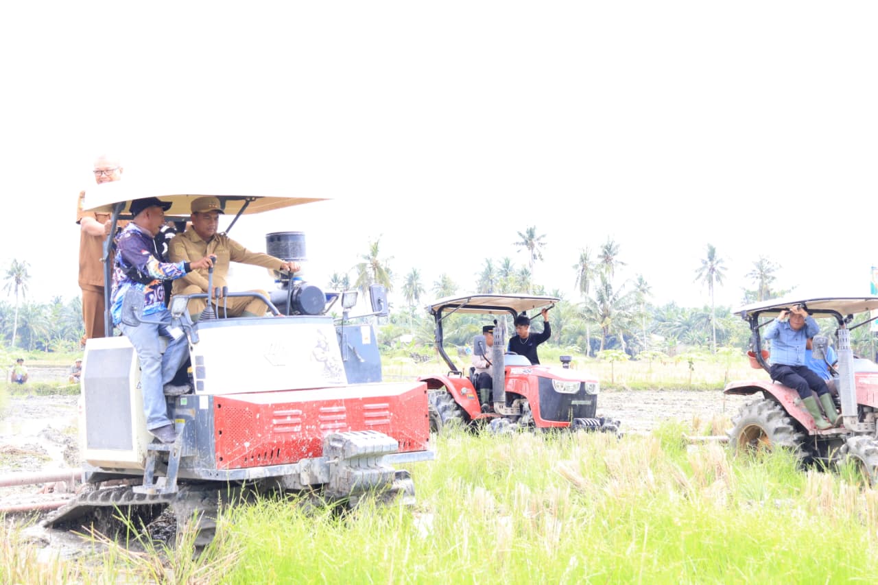 Pemkab Serdang Bedagai Optimalisasi Lahan Rawa Lewat Gerakan Olah Lahan untuk Terus Tingkatkan Produksi