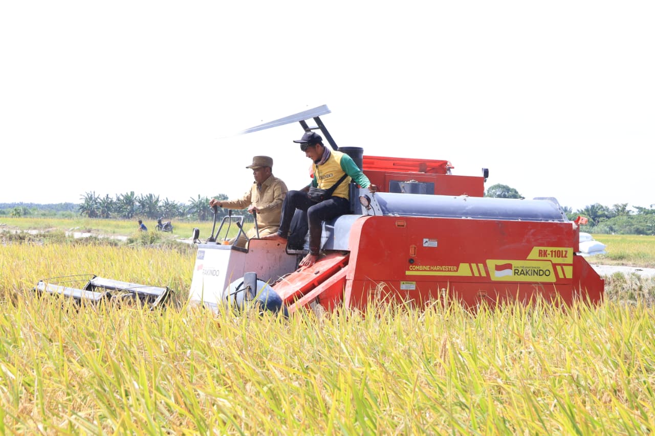 Produktivitas Padi Meningkat, Bupati Darma Wijaya Optimistis Sergai Kembali Swasembada Pangan