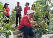 MBG Bikin Siswa Sehat, Petani Sergai Sejahtera