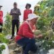 MBG Bikin Siswa Sehat, Petani Sergai Sejahtera