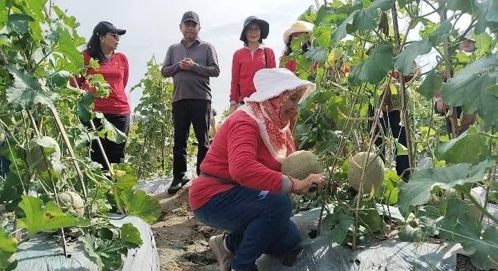 MBG Bikin Siswa Sehat, Petani Sergai Sejahtera