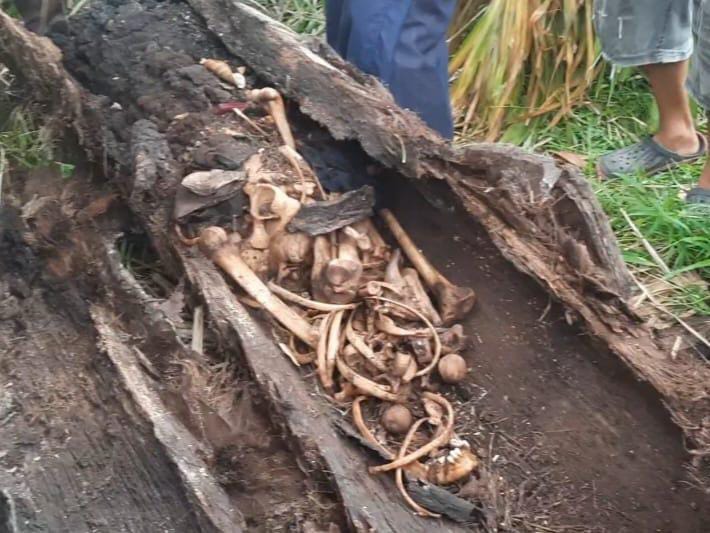 Kerangka Manusia dalam Pohon Aren Gegerkan Sergai, Polisi Ingatkan Warga Tak Termakan Isu Medsos.