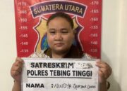 Tipu 45 Juta Melalui Investasi Bodong, Polres Tebing Tinggi Akhirnya Mengamankan Pelakunya