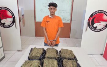 Pengedar Ganja Dengan Barbut 6 Kg Diciduk Polres Tebing Tinggi di Kab. Simalungun Pengedar Ganja Dengan Barbut 6 Kg Diciduk Polres Tebing Tinggi di Kab. Simalungun