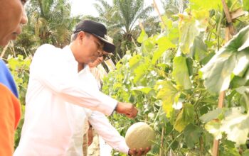 "Bupati Sergai: Manfaatkan Program MBG Untuk Meningkatkan Perekonomian dan Menciptakan Lapangan Kerja Baru"