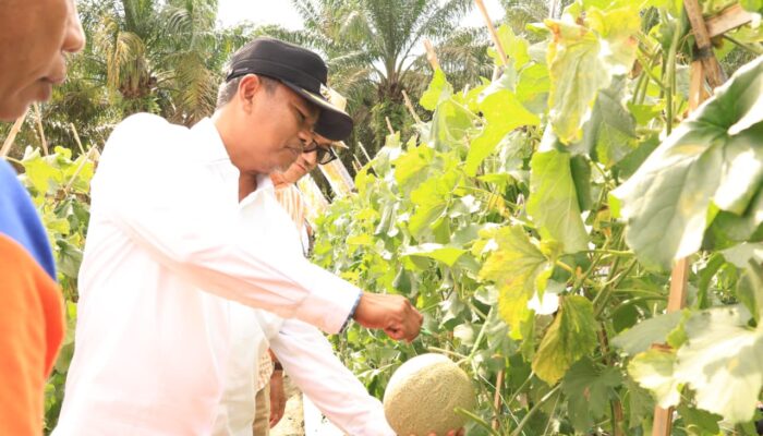 “Bupati Sergai: Manfaatkan Program MBG Untuk Meningkatkan Perekonomian dan Menciptakan Lapangan Kerja Baru”