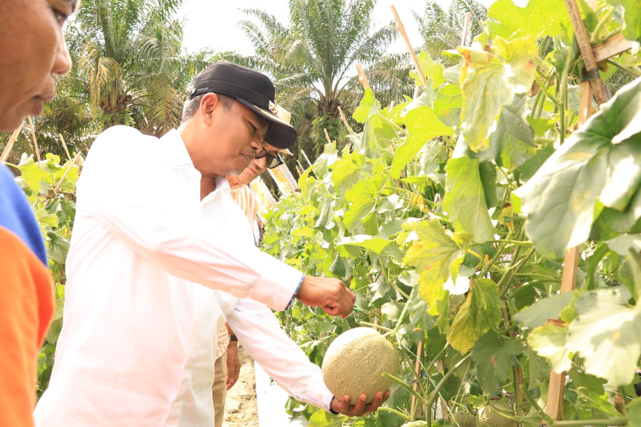 "Bupati Sergai: Manfaatkan Program MBG Untuk Meningkatkan Perekonomian dan Menciptakan Lapangan Kerja Baru"