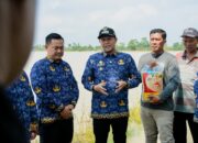 13 Ribu Hektar Sawah Terendam, Wabup Sergai Serahkan Bantuan Bibit ke Petani Terdampak Banjir.