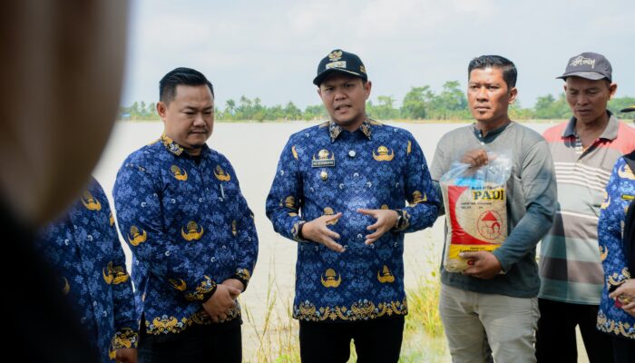 13 Ribu Hektar Sawah Terendam, Wabup Sergai Serahkan Bantuan Bibit ke Petani Terdampak Banjir.
