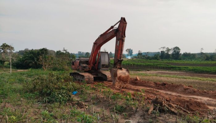 Aktivitas Galian C Tanah Urug Diduga Ilegal Lintasi Areal PTPN IV di Sergai.